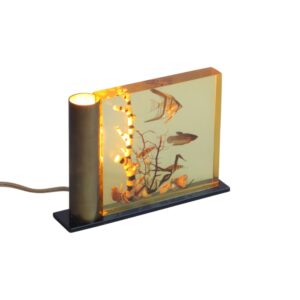 Acrylic Resin Tropical Fish Light, the Netherlands 1960s Acrylic Glass Resin Tropical Fish Aquarium Light, the Netherlands, 1960s A vintage acrylic glass resin aquarium with real tropical fish and corals. Illuminated from the side by a brass tube with a lightbulb. Century soup vintage design antiques curiosa collectibles antwerp.
