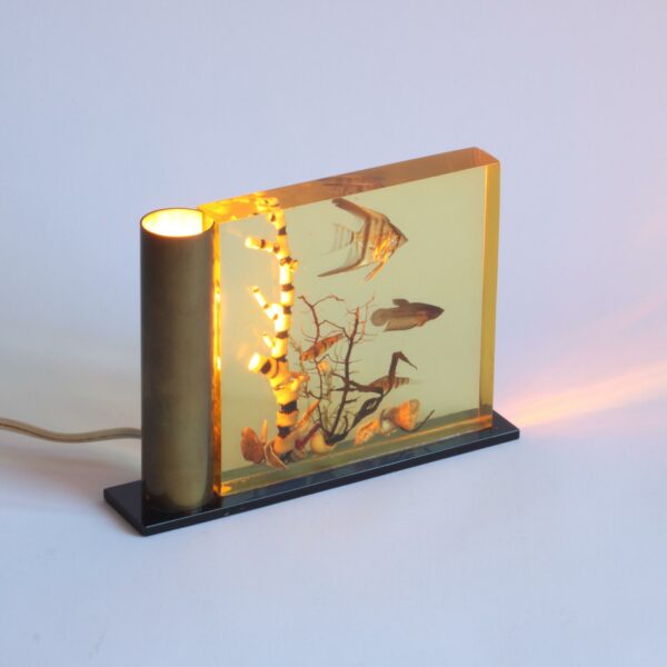 Acrylic Glass Resin Tropical Fish Aquarium Light, the Netherlands, 1960s A vintage acrylic glass resin aquarium with real tropical fish and corals. Illuminated from the side by a brass tube with a lightbulb. Century soup vintage design antiques curiosa collectibles antwerp.